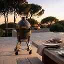 quatrolt kamado quatro coeo barbecue 1.webp